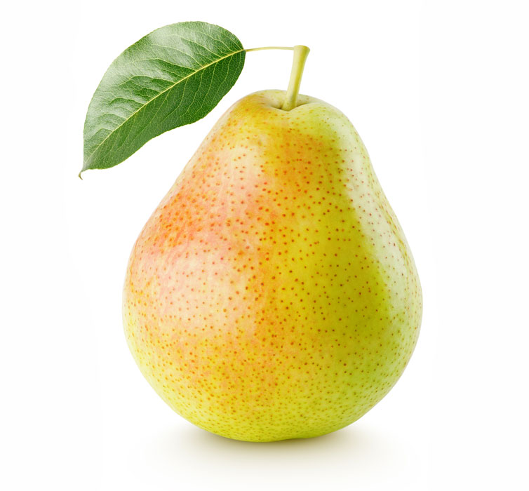 نهال گلابی بیروتی